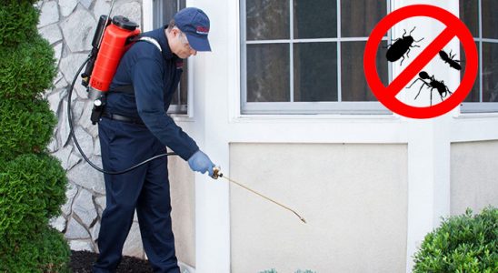 Silvan Hamam Böceği İlaçlama böcek ilaçlama ve haşere kontrolü — ilaclama-tr.com